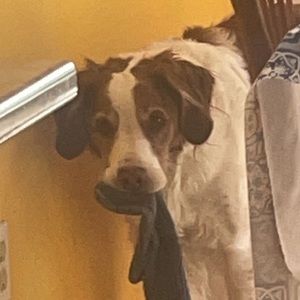 Meet your Posher, Aimie